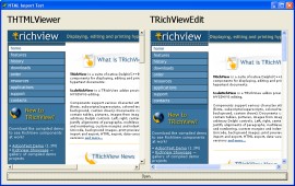 Documento HTML (una p�gina de TRichView) importada en el THTMLViewer & TRichViewEdit