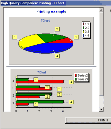 TChart en TRichView