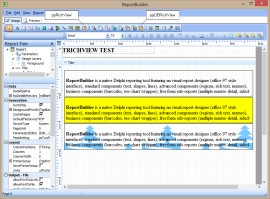TRichView en ReportBuilder